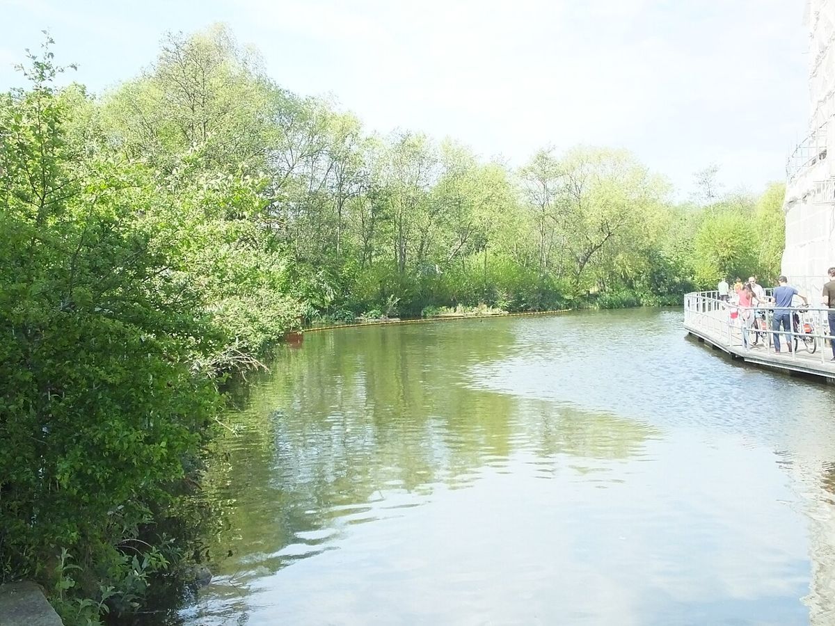 Camley Street Natural Park, a tiny wildlife reserve squeezed between King's Cross and St Pancras on the Regent's Canal