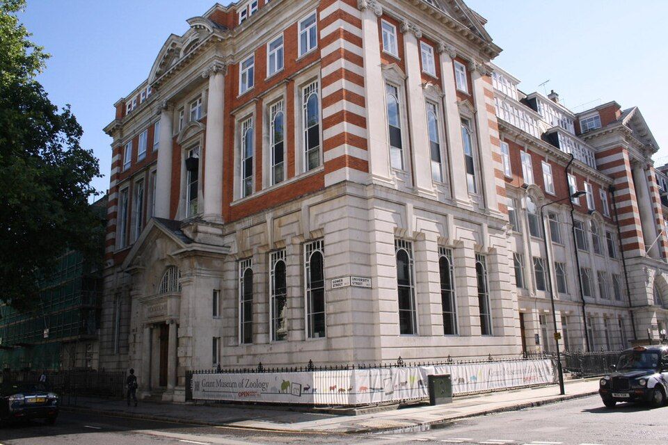 Grant Museum of Zoology, UCL's own zoology museum near Euston