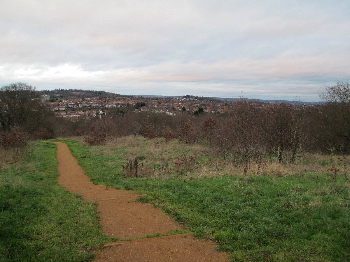 Horsenden Hill, an 85-metre hill in a 100-hectare Ealing nature reserve