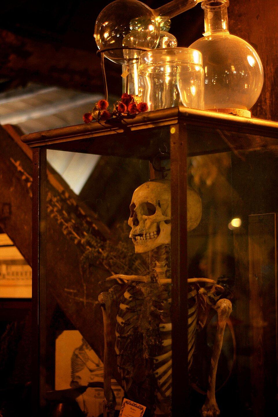 The Old Operating Theatre Museum, Europe's oldest surviving operating theatre