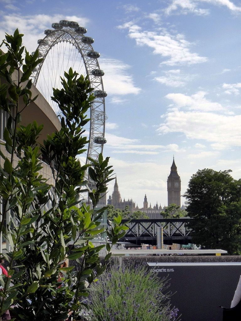 Queen Elizabeth Hall Roof Garden, a rooftop garden on top of the Queen Elizabeth Hall at Southbank Centre