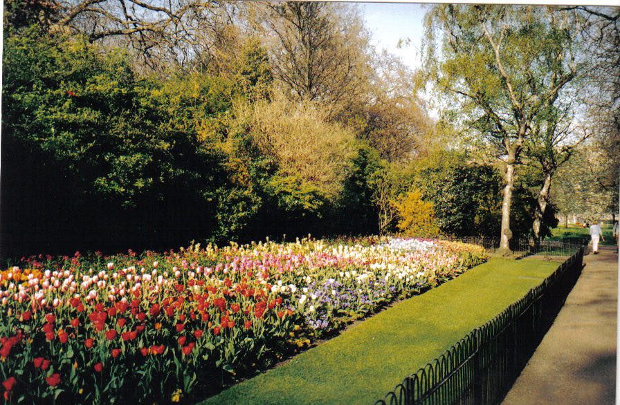St James's Park, the oldest royal park in London