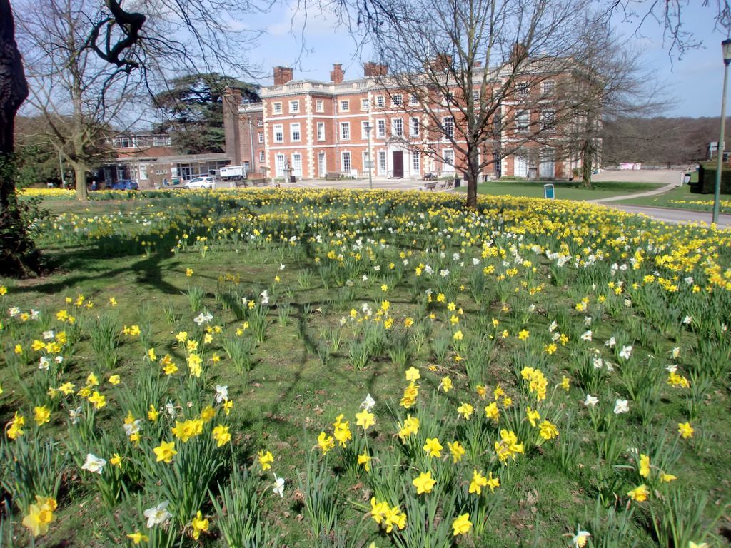 Trent Park, a 320-hectare country park on the Enfield edge of London, with woodland